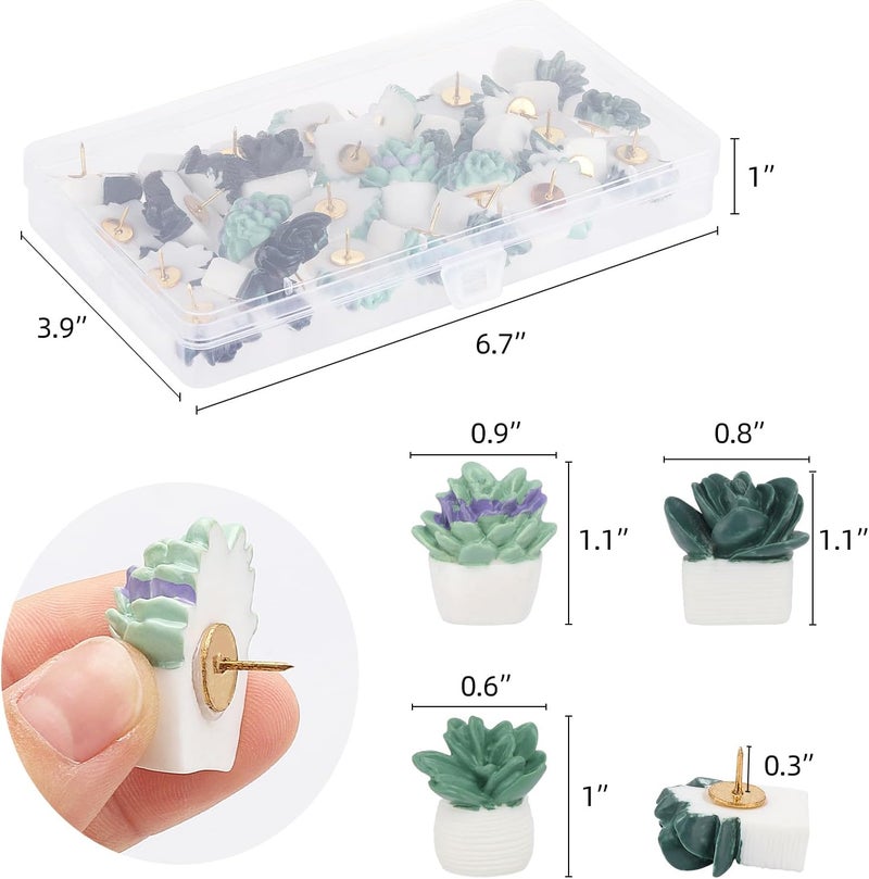 acDesign 30Pcs Decorative Pushpins Succulent Plants Thumb Tacks for Wall Hangings,Cork Board - Image 2